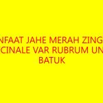 Manfaat Jahe Merah Zingiber officinale var rubrum untuk Batuk