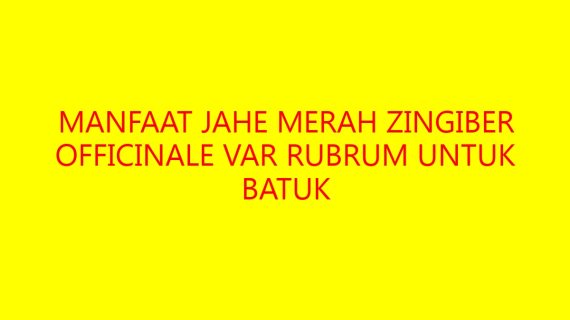 Manfaat Jahe Merah Zingiber officinale var rubrum untuk Batuk