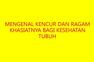 Mengenal Kencur dan Ragam Khasiatnya bagi Kesehatan Tubuh