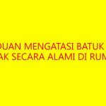 Panduan Mengatasi Batuk Pilek Anak Secara Alami di Rumah